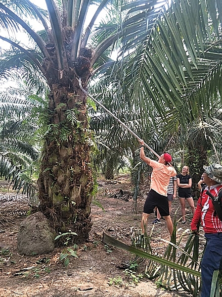 img3